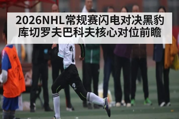 2026NHL常规赛闪电对决黑豹库切罗夫巴科夫核心对位前瞻